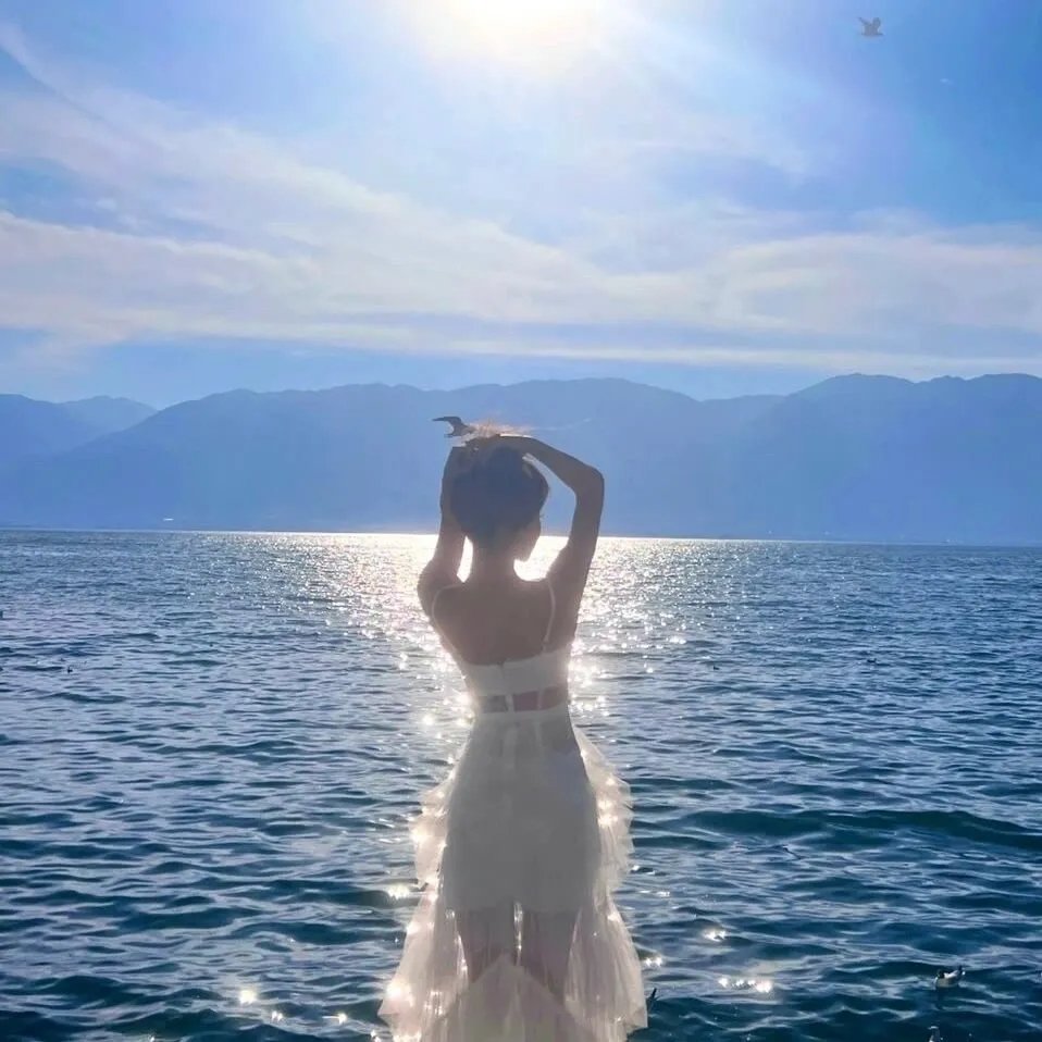 白莲花