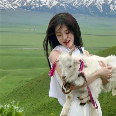 孤单的豌豆